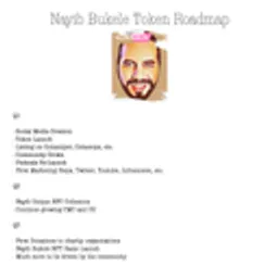 NBT