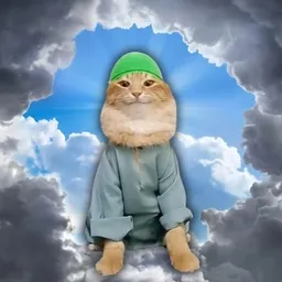 Catullah