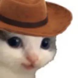 meowdy