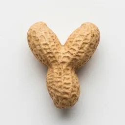 YNUT