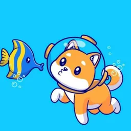 FI