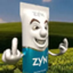 ZYN