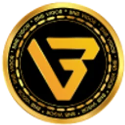 VIGOR TOKEN token logo