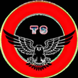 TS
