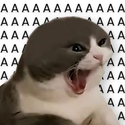 AAAAAA