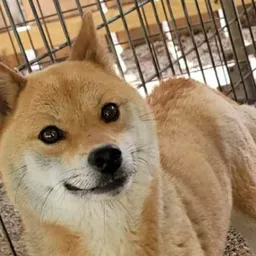 LEELOO
