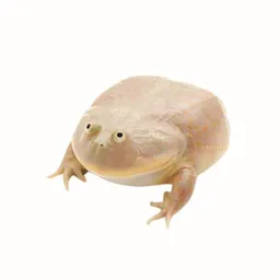 𓆏