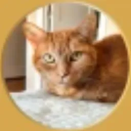 Marigold