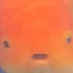 blo