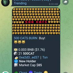 500CAT