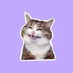 HAPPYcat