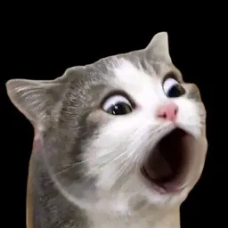 $GASP