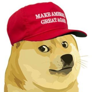 BRANDOGE