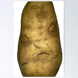 YPOTATO