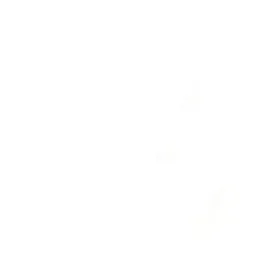 Nothing