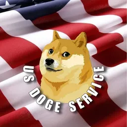 USDS