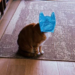 $HOBBAG