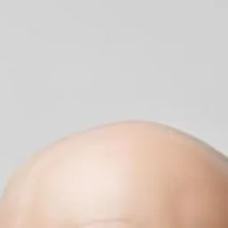 Bert