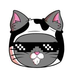 KITTY