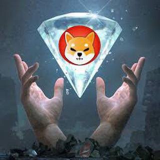 SHIBA 