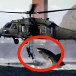 HELICOPTER