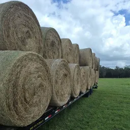 USA