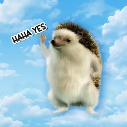 YES