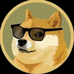 DOGE 2.0