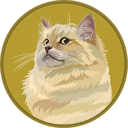 CTN