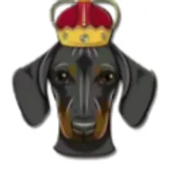 Doge King 2.0 token logo