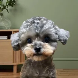 NUPPY