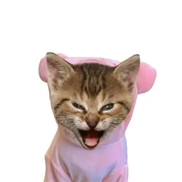 ror