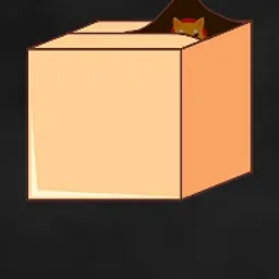 BOX
