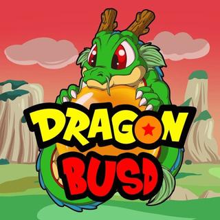 DBUSD