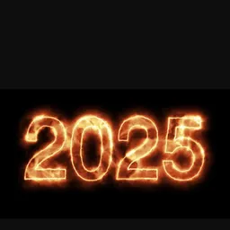 2025🐶