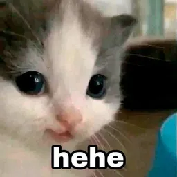 hehe