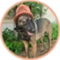 BHAT