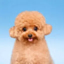 MUGI