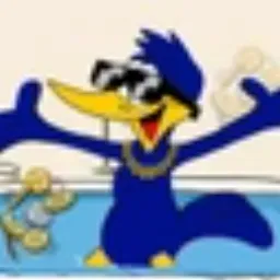 DUCK
