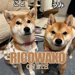 RICOWAKO