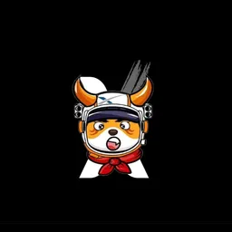 XFLOKI