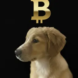 $BOW