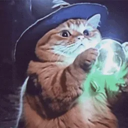 wizcat