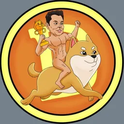 EMDOGE
