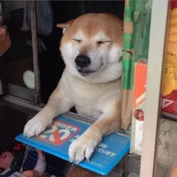 SHOPDOGE