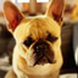 HANK