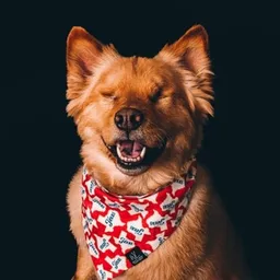 NALA