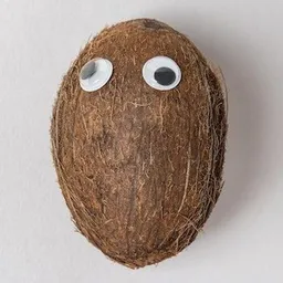 nutty the gfm coconut token logo