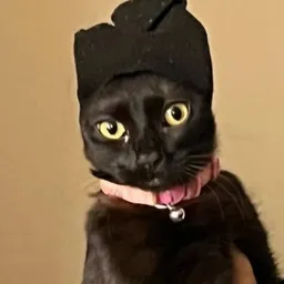 Boba