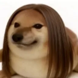 我的发